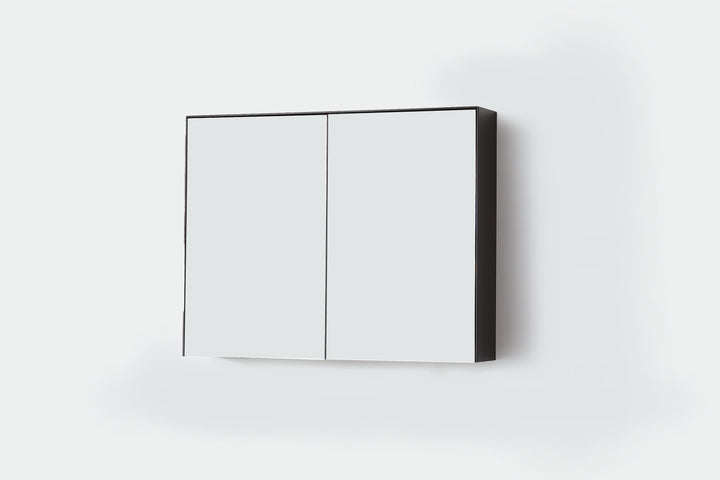 Bergen Medicine Cabinet in Matte Black