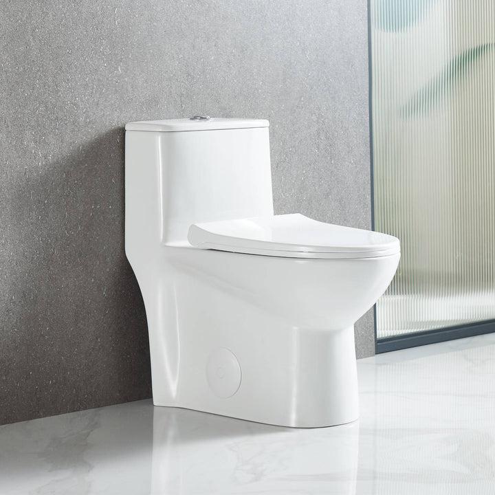 T9 One-Piece Toilet, 1.1/1.6 GPF Dual-Flush in 02 | ANVE Kitchen &amp; Bath