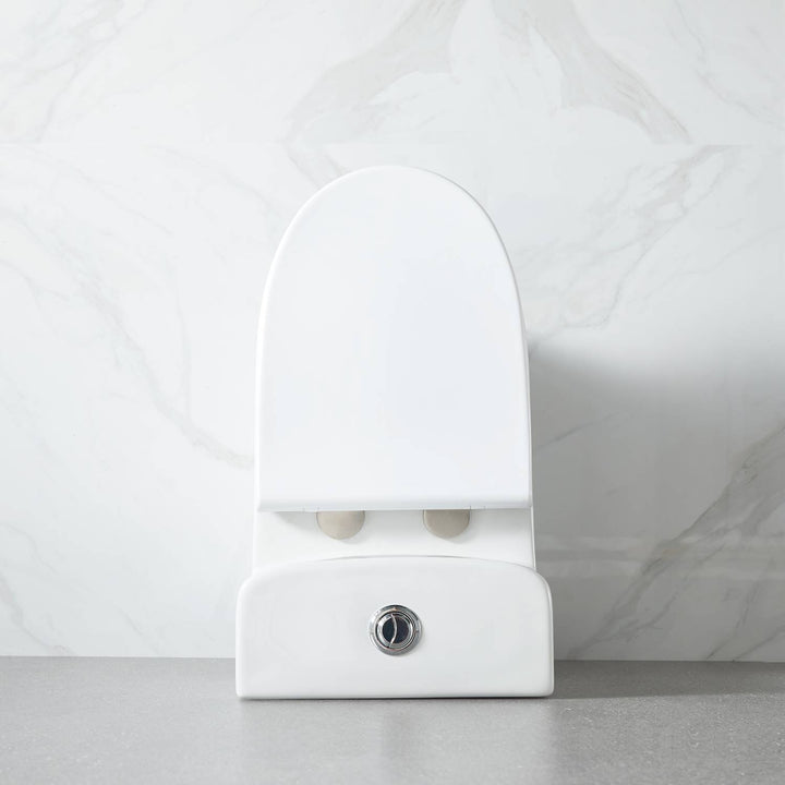 T9 One-Piece Toilet, 1.1/1.6 GPF Dual-Flush in 02