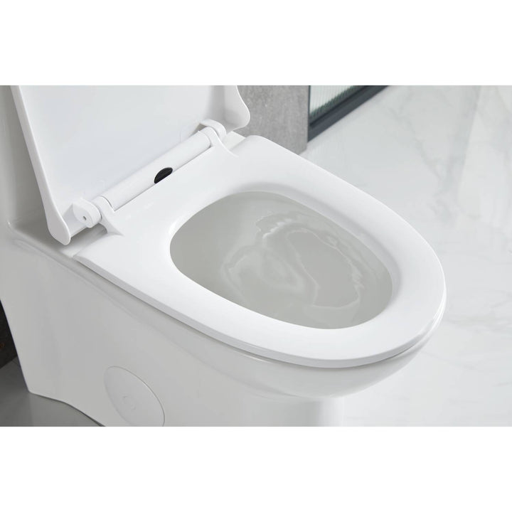 T9 One-Piece Toilet, 1.1/1.6 GPF Dual-Flush in 02