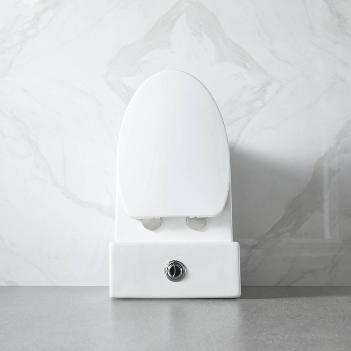 T9 ADA One-Piece Toilet, 1.1/1.6 GPF Dual-Flush in 04
