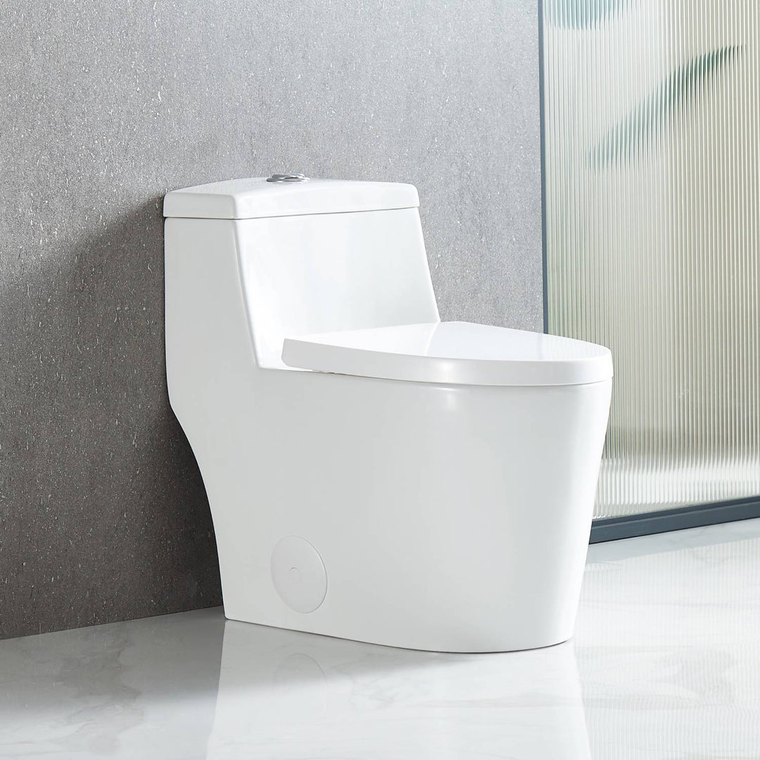 T9 One-Piece Toilet, 1.1/1.6 GPF Dual-Flush in 05 | ANVE Kitchen & Bath