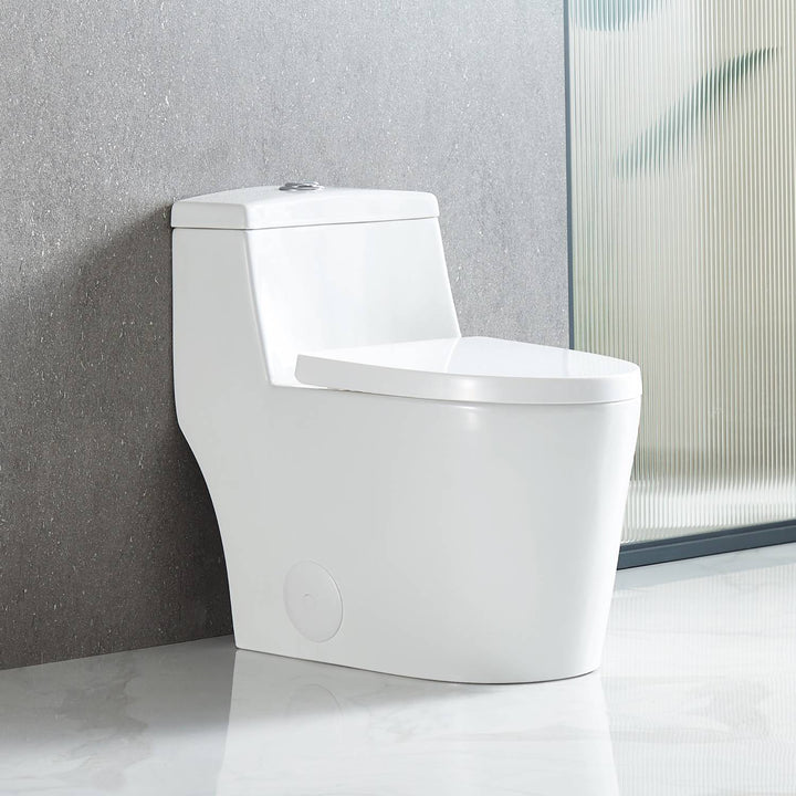 T9 One-Piece Toilet, 1.1/1.6 GPF Dual-Flush in 05 | ANVE Kitchen &amp; Bath