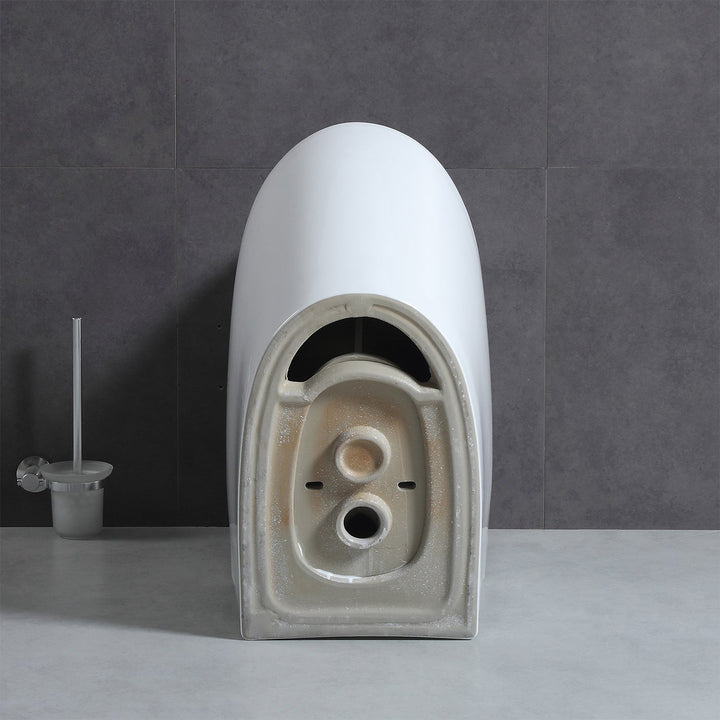 T9 One-Piece Toilet, 1.1/1.6 GPF Dual-Flush in 05