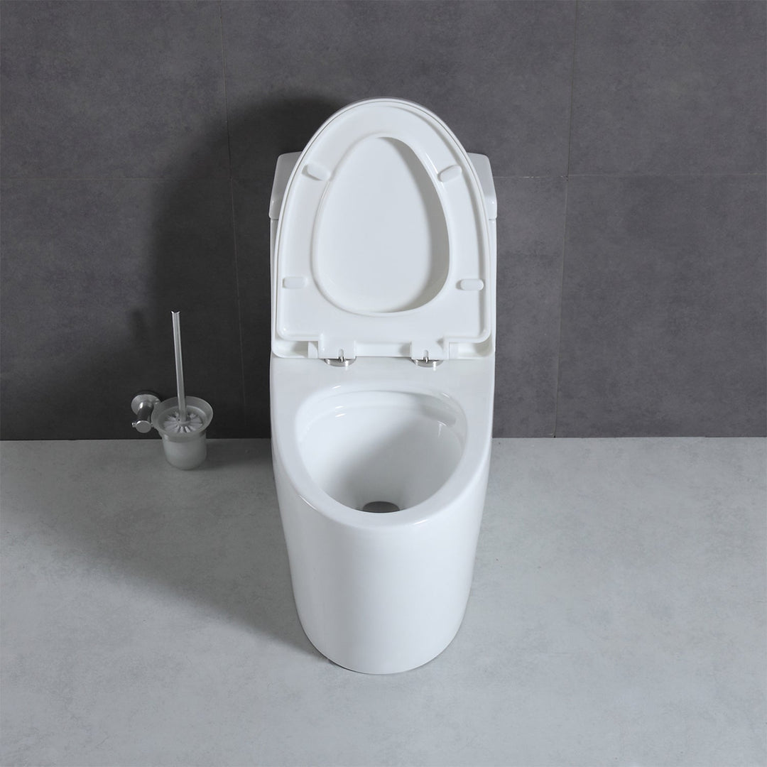 T9 One-Piece Toilet, 1.1/1.6 GPF Dual-Flush in 05
