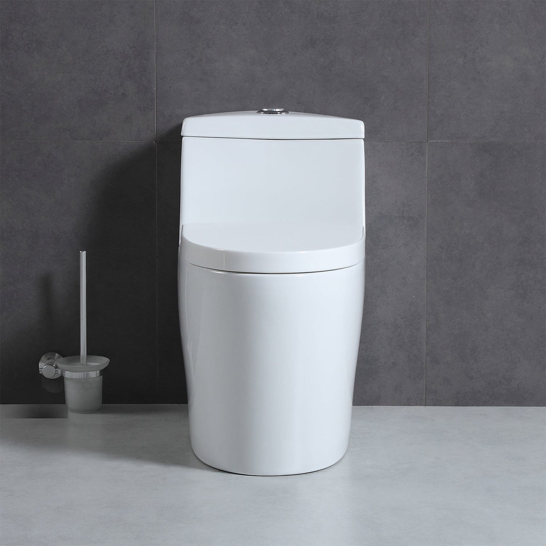 T9 One-Piece Toilet, 1.1/1.6 GPF Dual-Flush in 05