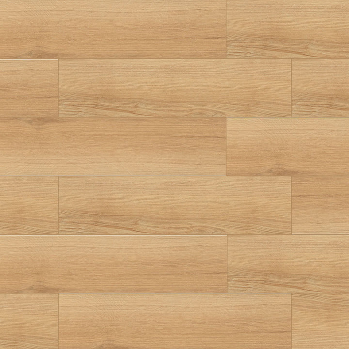 Tradition Matte Porcelain Floor &amp; Wall Tile