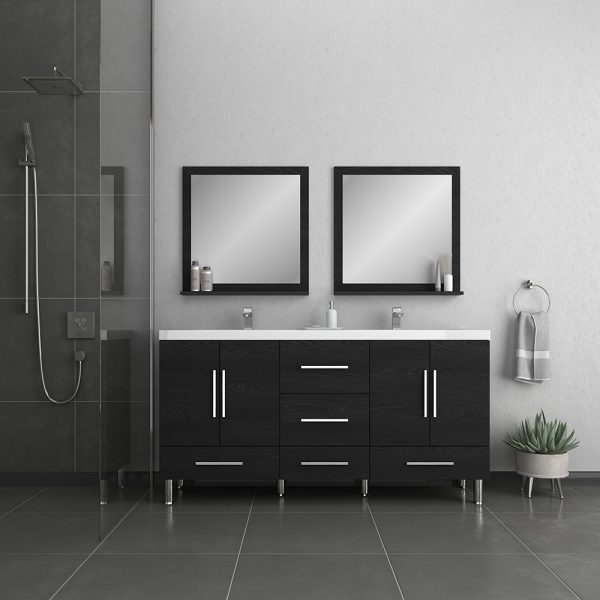 Alya Bath Ripley Modern 67 inch Double Bathroom Vanity, Black