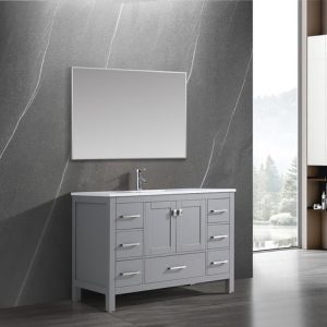 Vanea 48" Bathroom Vanity in Gray with White Quartz Top