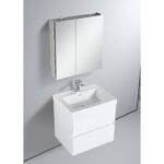 The Assisi 24 inch Wall Mounted Bathroom Vanity With Sink showcases a rectangular basin and sleek chrome faucet, complemented by a mirrored cabinet above, against a light gray wall.