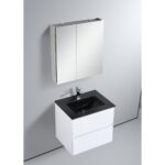 The Assisi 24 inch Wall Mounted Bathroom Vanity With Sink includes a black sink, chrome faucet, and white two-drawer cabinet, paired with a mirrored medicine cabinet on a light gray wall.