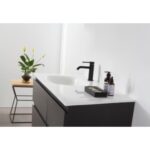 The Rothenburg 42 Inch Freestanding Bathroom Vanity features a white countertop, black faucet, soap dispenser, bottles, and a tray. A potted plant is placed on a small wooden table next to the sink against a crisp white wall.